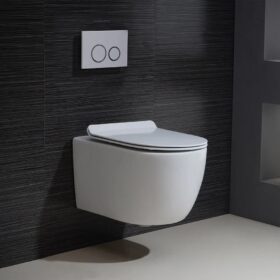 Wall-hung Toilet with a concealed cistern